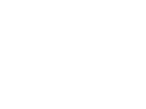 dark logo
